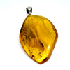 Amber with Insects - Pendant #7