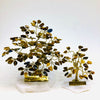 TIGER'S EYE Tree Of Good Luck - R0