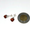 Heart Earrings in Silver and Amber