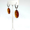 Large Oval Amber Earrings