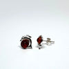 Dolphin Stud Earrings in Silver with Amber