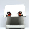 Dolphin Stud Earrings in Silver with Amber