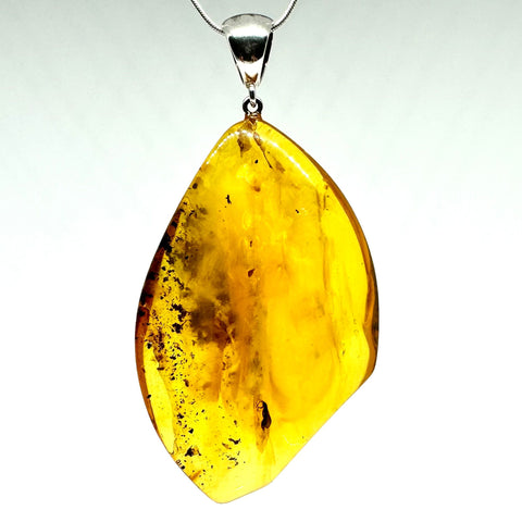 Amber with Insects - Pendant #7