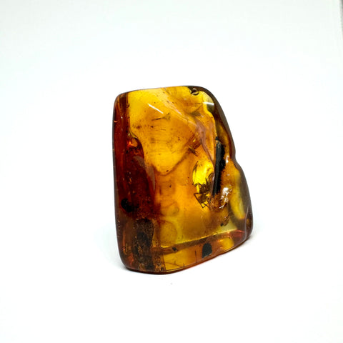 Amber with Insects - Rock #2