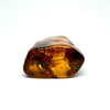 Amber with Insects - Rock #2