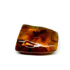 Amber with Insects - Rock #2