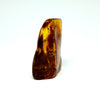 Amber with Insects - Rock #2