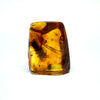 Amber with Insects - Rock #2