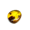 Amber with Insects - Rock #8