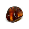 Amber with Insects - Rock #5