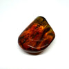 Amber with Insects - Rock #5