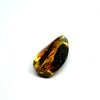 Amber with Insects - Rock #9