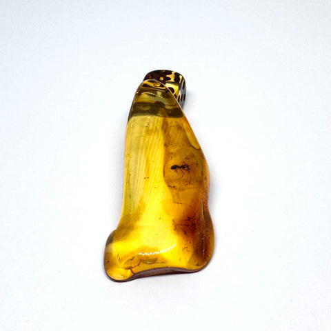 Amber with Insects - Stone # 2