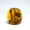Amber with Insects - Stone #3