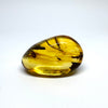Amber with Insects - Stone #5