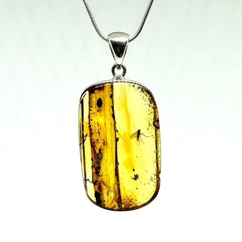 Amber with Insects - Pendant #1