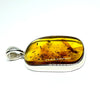 Amber with Insects - Pendant #2