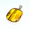 Amber with Insects - Pendant #3