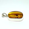 Amber with Insects - Pendant #3