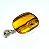 Amber with Insects - Pendant #3