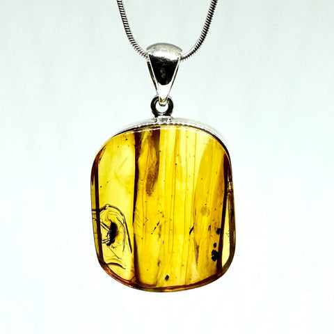 Amber with Insects - Pendant #3