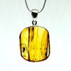 Amber with Insects - Pendant #3