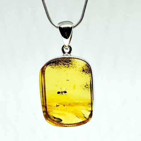 Amber with Insects - Pendant #4