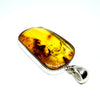 Amber with Insects - Pendant #5