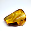 Amber with Insects - Stone #2