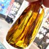 Amber with Insects - Pendant # 8