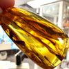 Amber with Insects - Pendant # 8