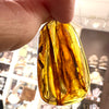 Amber with Insects - Pendant # 8