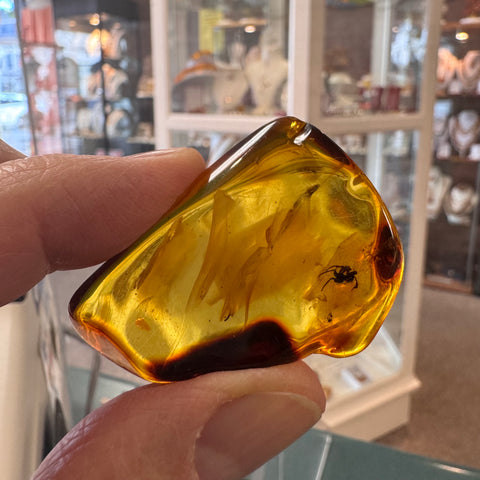 Amber with Insects - Stone #2