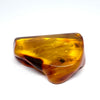 Amber with Insects - Stone #2