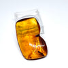 Amber with Insects - Stone #4