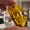 Amber with Insects - Stone # 1