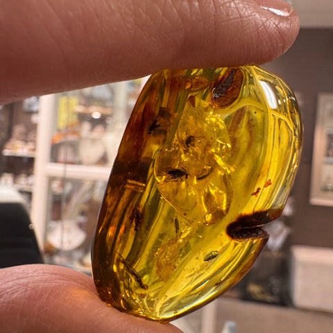 Amber with Insects - Stone # 1