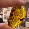 Amber with Insects - Stone # 1