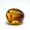 Amber with Insects - Stone #3