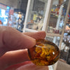 Amber with Insects - Stone #3
