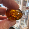 Amber with Insects - Stone #3