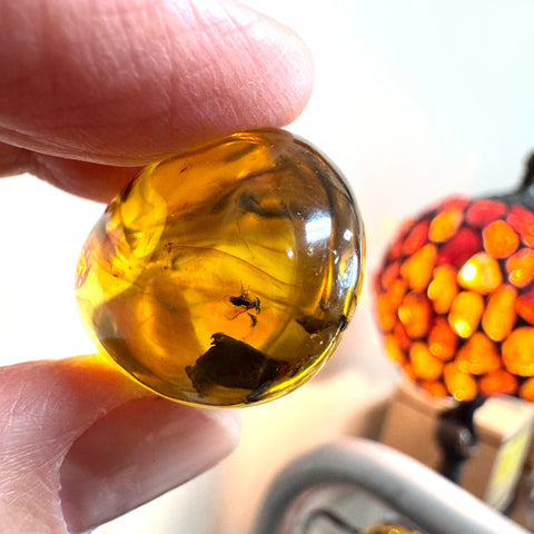 Amber with Insects - Stone #5
