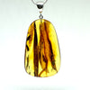 Amber with Insects - Pendant #8