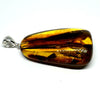 Amber with Insects - Pendant #8