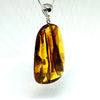 Amber with Insects - Pendant #8