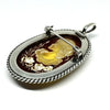 Intaglio Pendant/Brooch in Baltic Amber