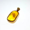 Amber with Insects - Pendant #14