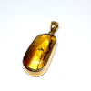 Amber with Insects - Pendant #10