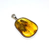 Amber with Insects - Pendant #11