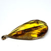 Amber with Insects - Pendant # 6